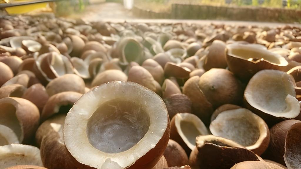 Premium Coconut Products 70