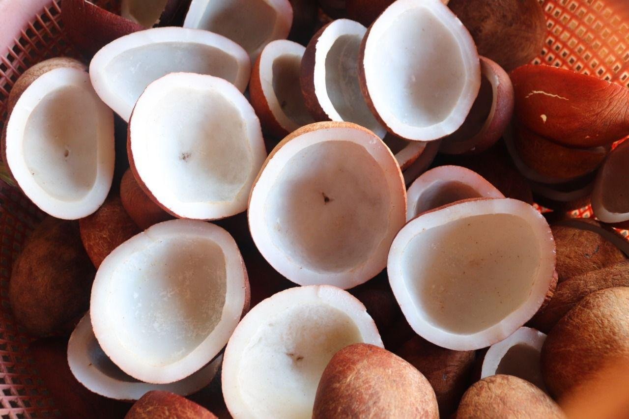 Premium Coconut Products 70